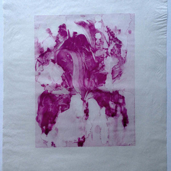 8 Rennaissance (Yanina)