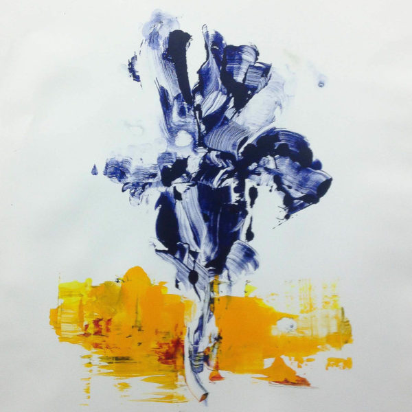 Iris Aflame Monotype 25