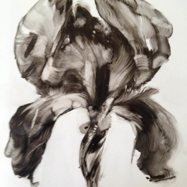 sep232012_5112 (1).jpg